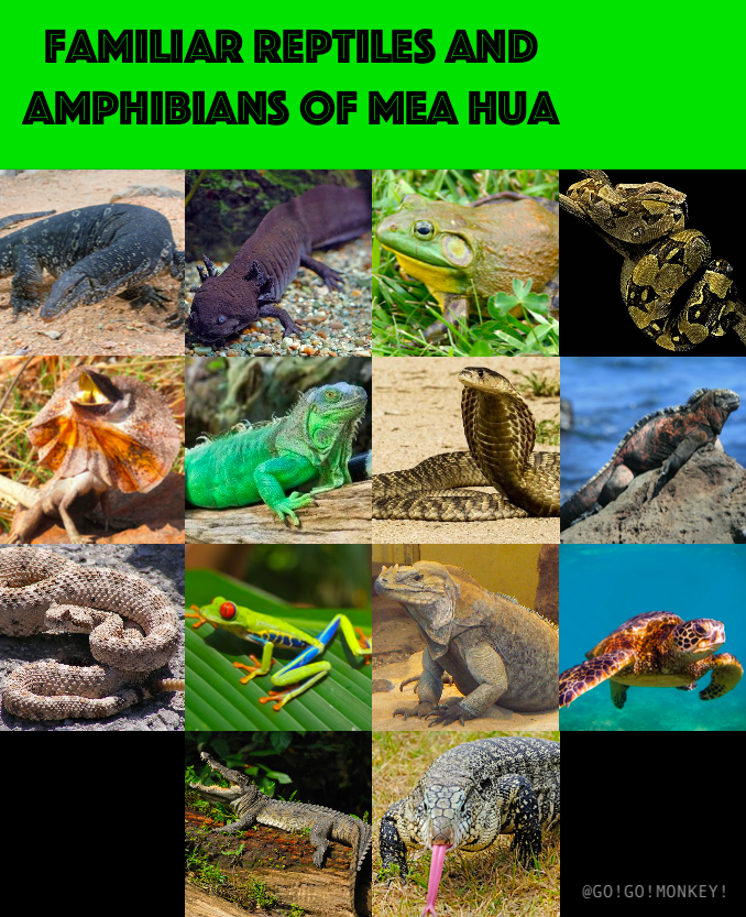 Mea Hua Archipelago Familiar Reptiles And Am By Gogomonkey2 On Deviantart Mea Hua Archipelago Familiar Reptiles And Am By Gogomonkey2 On Deviantart