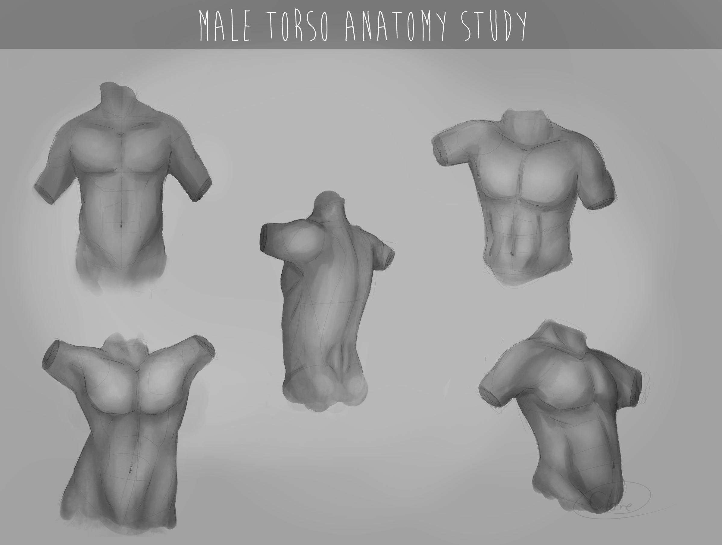 Male Torso Study By MissDiealot On DeviantArt male-torso-study-by-missdiealot-on-deviantart