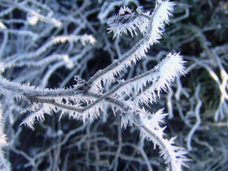 Winter Ice Formation