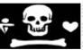 Pirate Flag Stamp 3