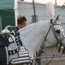 Arabian in parade costume