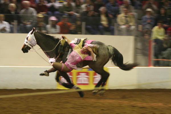 Trick Riding and Vaulting by RRS-RareRollingShows on DeviantArt