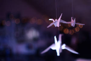 Paper Cranes I by ShyButterflyLove Paper Cranes I by ShyButterflyLove