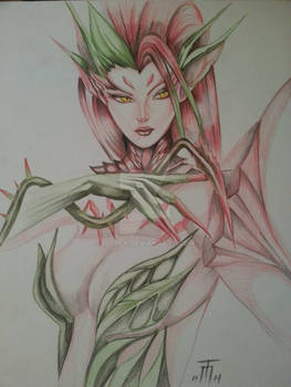 Zyra