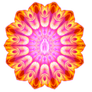 Feminine Flower Mandala
