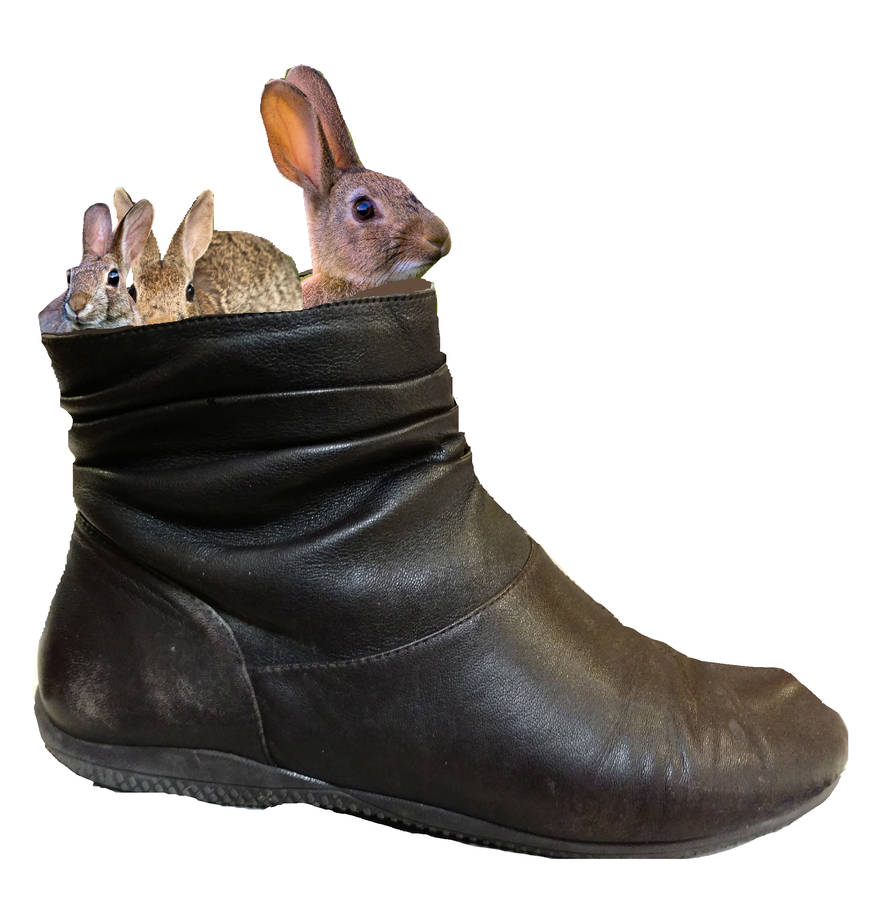 Rabbits in a boot by hot293wildcat on DeviantArt