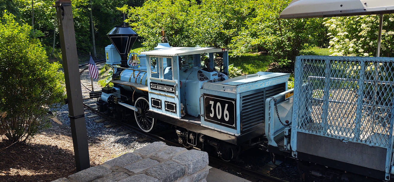 Blue turtle back zoo train by hot293wildcat on DeviantArt