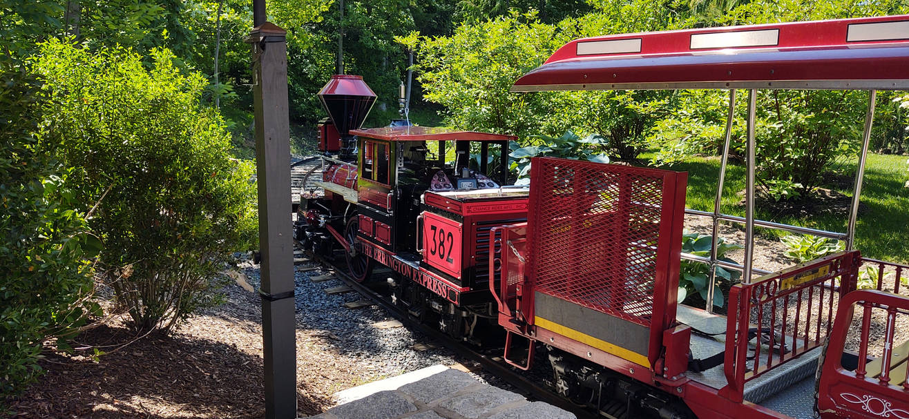 Red turtle back zoo train by hot293wildcat on DeviantArt