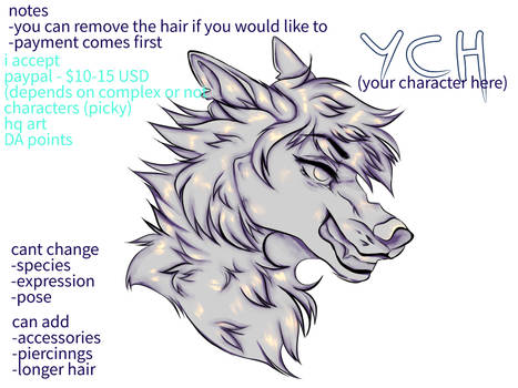 LIMITED YCH || OPEN