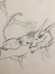 Them dragon sketches 2