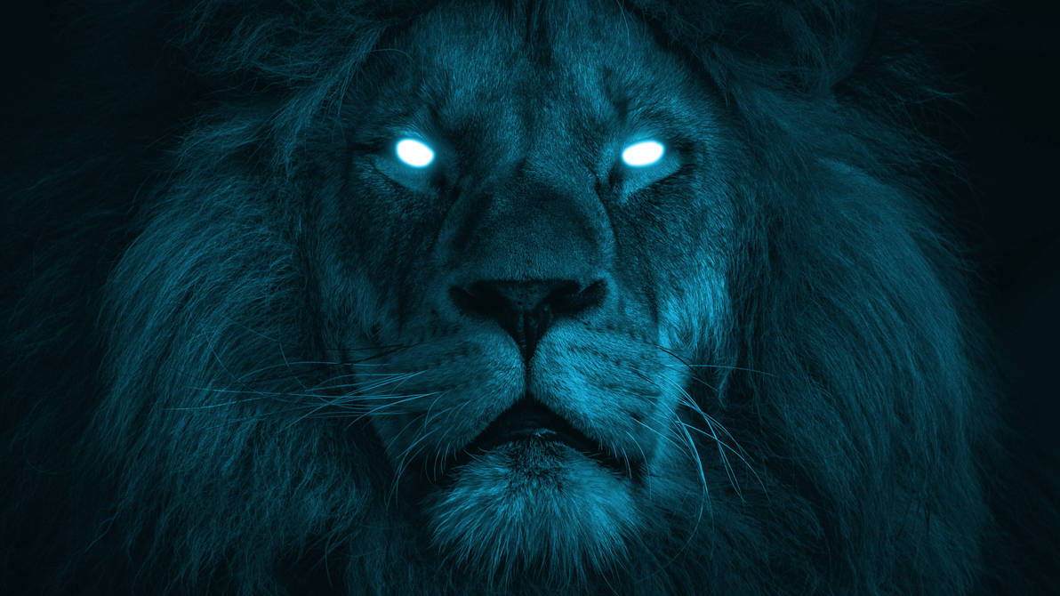 Черный лев 8. Лев морда синий. Лев с синими глазами. Глаза Льва. Глаза Льва в темноте.