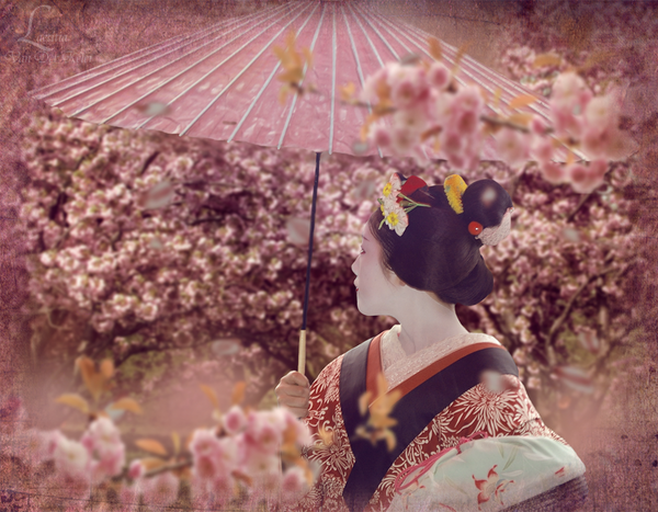 Sakura drops