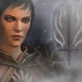 Dragon Age 2 - Seeker