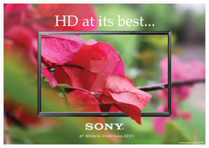 Sony Bravia Ad