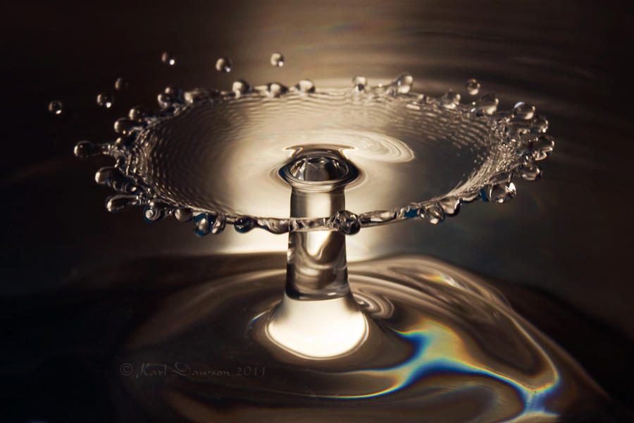 The Serving Dish by KarlDawson