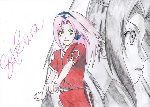 Naruto - Sakura