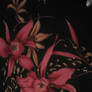 FloralTexture1