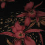 FloralTexture2