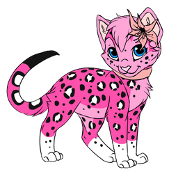 Pinkily (Kamirah Cat 1)