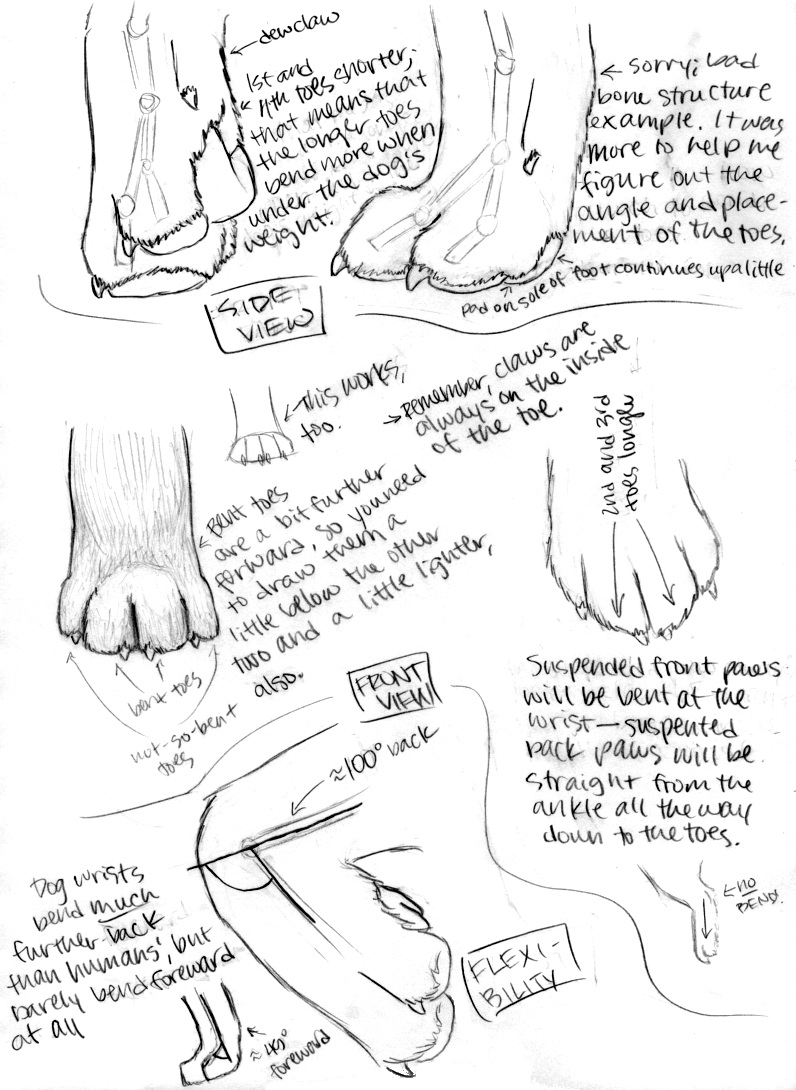 Paw Tutorial