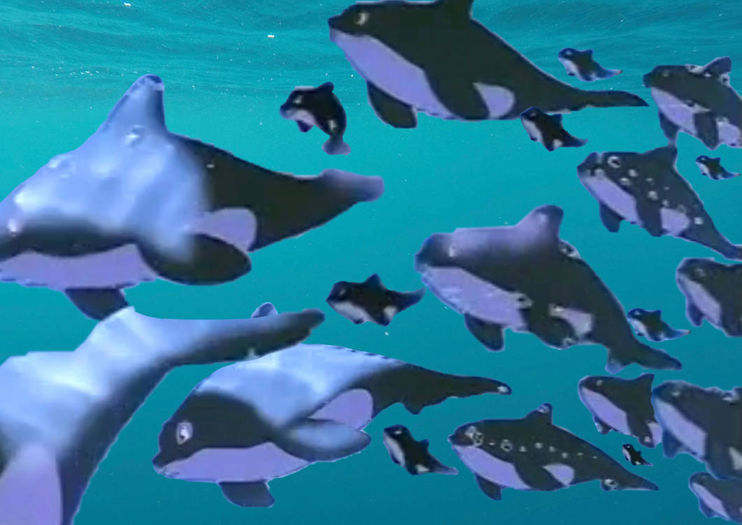 The Great Orca Migration By Rileyopal On DeviantArt the-great-orca-migration-by-rileyopal-on-deviantart