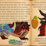 Dragon Manual Dragon Interests