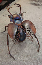 lucanus cervus