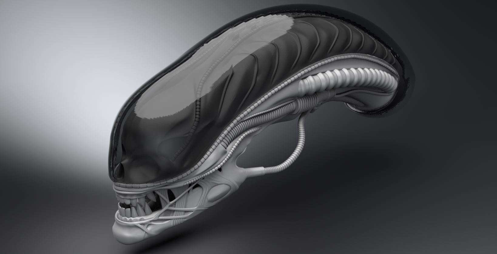 Xenomorph Head by CGmorph on DeviantArt