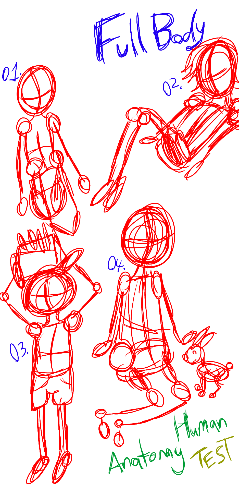 Human Anatomy Practice (Free To Use) by oakhearted on DeviantArt