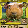 guinea pig spell card