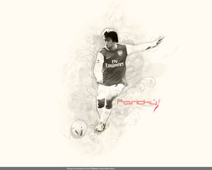 Tomas Rosicky