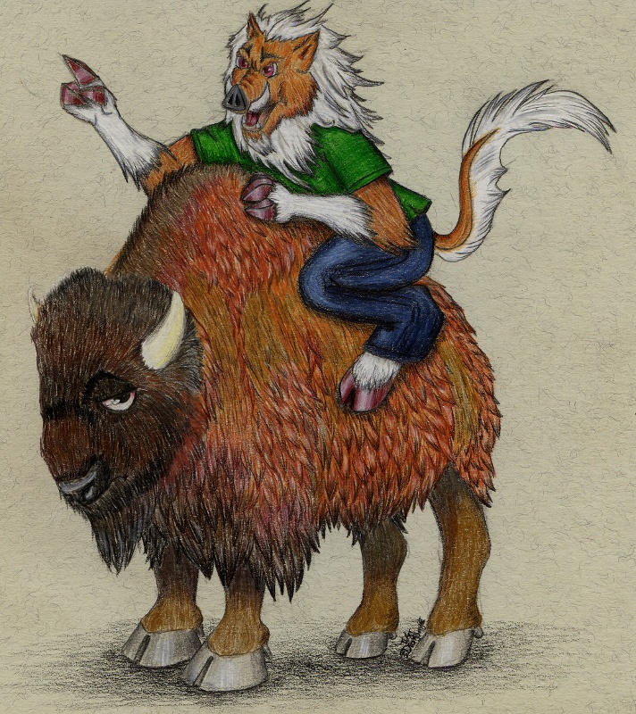 Bisonritt