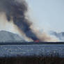 Lake Toho Fire!