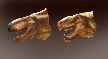 Dimetrodon head sketches