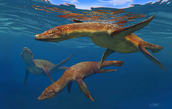 Marine Reptiles: Rhomaleosaurus V2