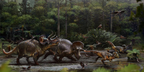 Triceratops-Being Horridus