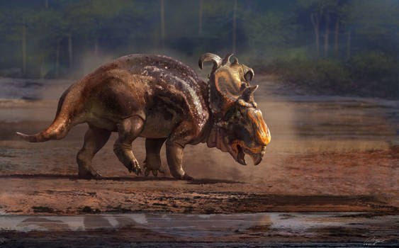 Pachyrhinosaurus