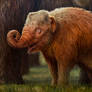 Strawberry blonde baby mammoth