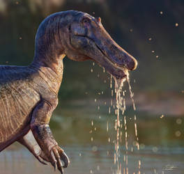 Little Spinosaur by the river