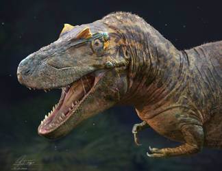 Daspletosaurus wilsoni portrait