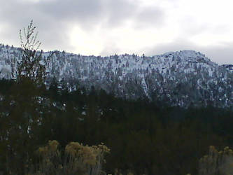 Mt. Charleston, NV. Dec. 2010