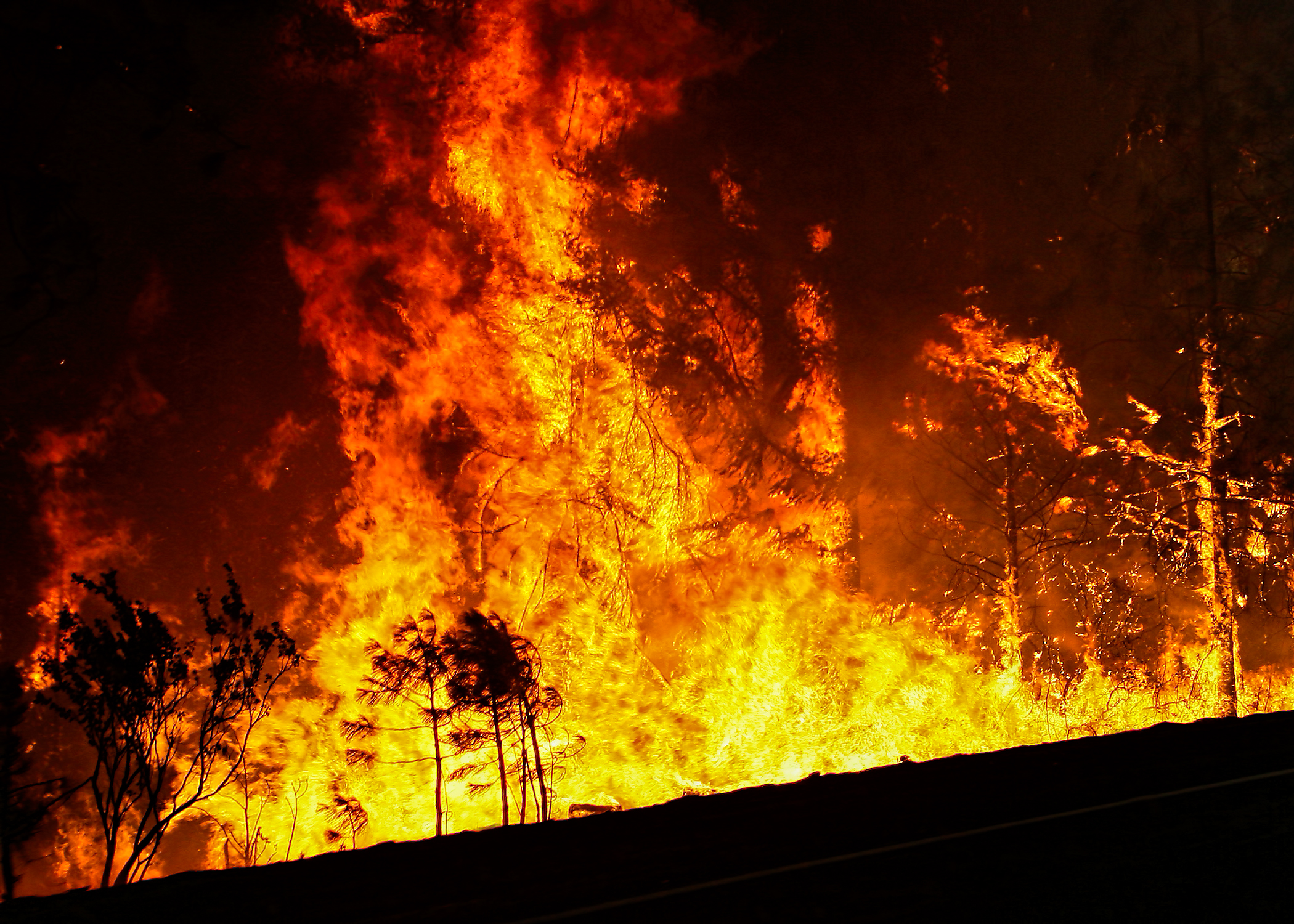 Yosemite Rim Fire