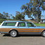 1990 Oldsmobile Custom Cruiser - Curb Side