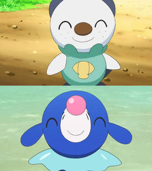 Oshawott vs Popplio - Cheerful Looks!