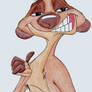 Timon