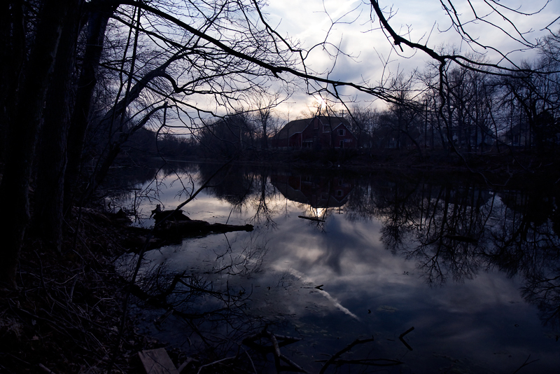 Evening Walk