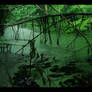 Swamp