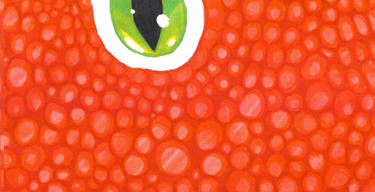 green eye red scales