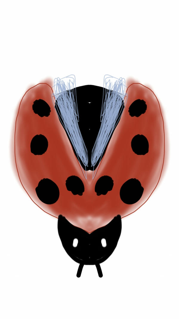 Fly Bug Deviantart FLYING INSECT by Abel6 on DeviantArt