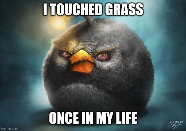 Realistic Angry Birds Meme Dump By VeryObnoxiousEngine On DeviantArt realistic-angry-birds-meme-dump-by-veryobnoxiousengine-on-deviantart